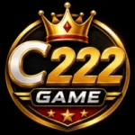 C222 Game