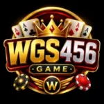 WGS456 Game